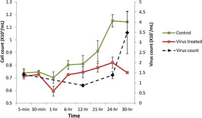 Infection by a Giant Virus (AaV) Induces Widespread Physiological Reprogramming in Aureococcus anophagefferens CCMP1984 – A Harmful Bloom Algae